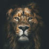 i_catanzaro